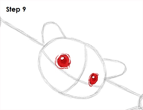 Sugar Glider Drawing 9 Draw Sugar Glider 9