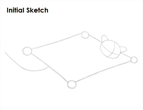 Sugar Glider Drawing Sketch Draw Sugar Glider Sketch