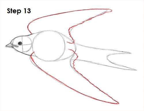 Swallow Bird 13 Draw Swallow Bird 13