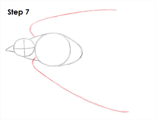 Draw Swallow Bird 7