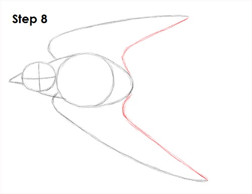 Draw Swallow Bird 8