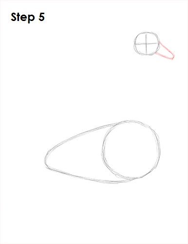 Draw Swan 5