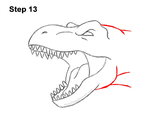 How to Draw a Tyrannosaurus rex Head Roaring 13