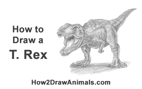 How to Draw a Tyrannosaurus Rex Dinosaur Roaring