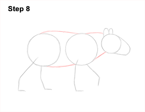 How to Draw a Tapir Malayan Asian Indian Side 8