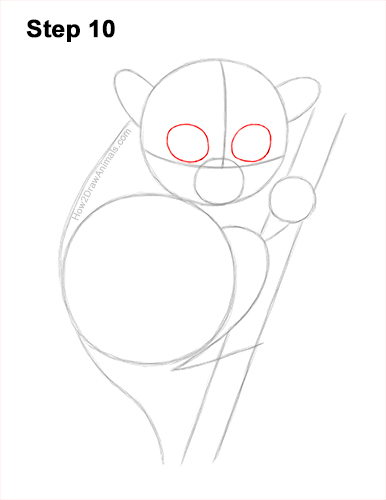 How to Draw a Philippine Tariser 10