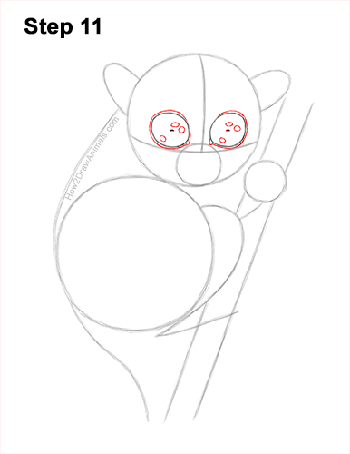 How to Draw a Philippine Tariser 11