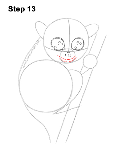 How to Draw a Philippine Tariser 13