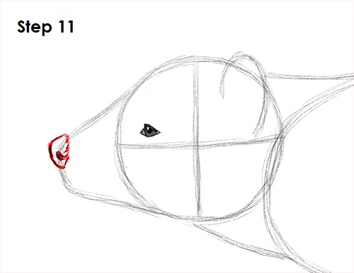 Draw Tasmanian Devil 11