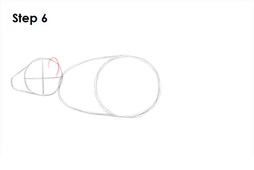 Draw Tasmanian Devil 6