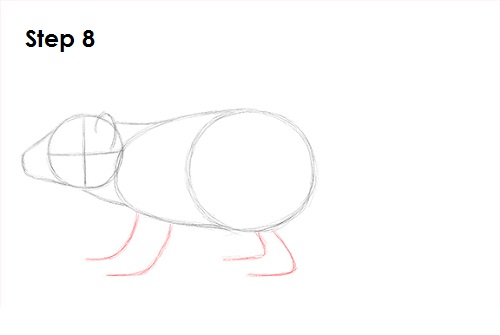 Draw Tasmanian Devil 8