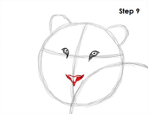Draw Tiger 9