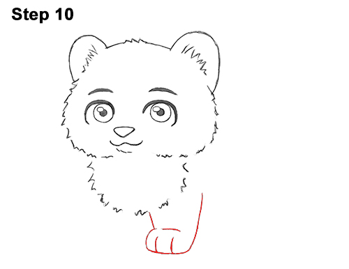 Cartoon Tiger 10 Draw Cartoon Mini Little Tiger Cub 10