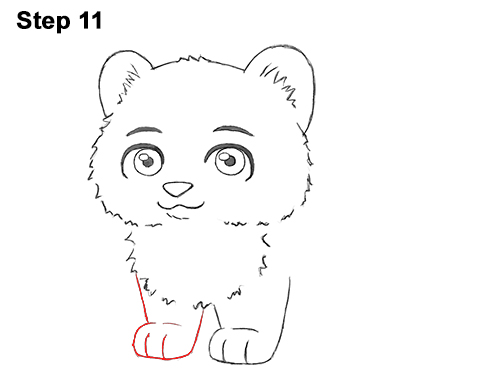 Cartoon Tiger 11 Draw Cartoon Mini Little Tiger Cub 11