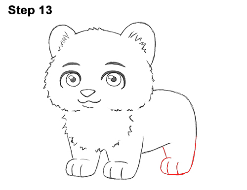 Cartoon Tiger 13 Draw Cartoon Mini Little Tiger Cub 13