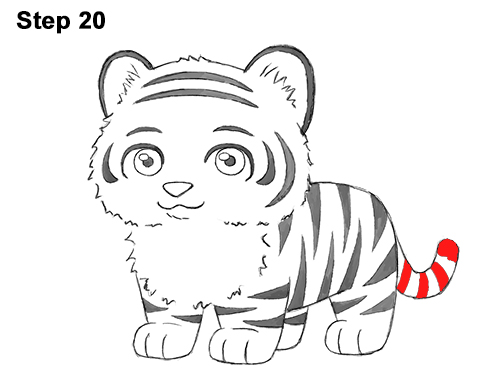 Cartoon Tiger 20 Draw Cartoon Mini Little Tiger Cub 20