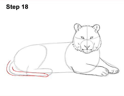 Draw Tiger Side 18 How to Draw a Tiger Laying Lying Down 18