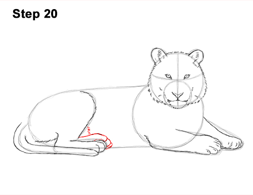 Draw Tiger Side 20 How to Draw a Tiger Laying Lying Down 20
