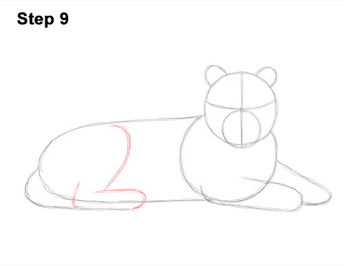 How to Draw a Tiger Laying Lying Down 9