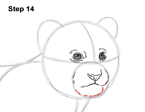 Draw a Tiger Cub 14 How to Draw a Cute Baby Tiger Cub 14