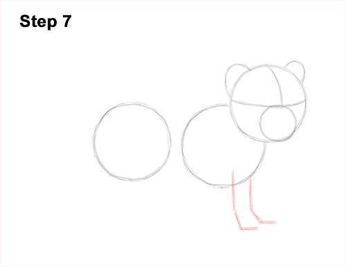 How to Draw a Cute Baby Tiger Cub 7