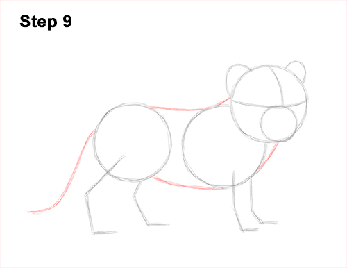 How to Draw a Cute Baby Tiger Cub 9
