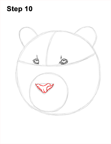 How to Draw a Tiger Head Portrait Face 10