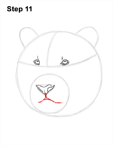 How to Draw a Tiger Head Portrait Face 11