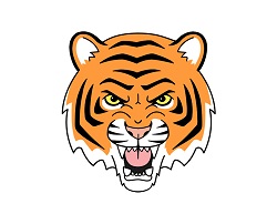 How to Draw a Cartoon Tiger Head