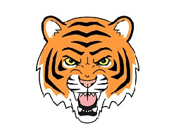 How to Draw an Angry Cartoon Tiger Head Roaring