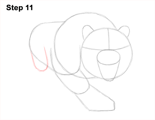 How to Draw a Mean Tiger Roaring Growling Stalking 11