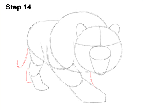 How to Draw a Mean Tiger Roaring Growling Stalking 14