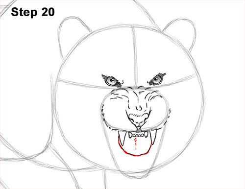 Draw a Tiger Angry Roar 20 How to Draw a Mean Tiger Roaring Growling Stalking 20