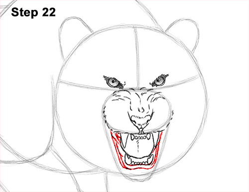 Draw a Tiger Angry Roar 22 How to Draw a Mean Tiger Roaring Growling Stalking 22