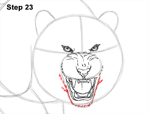 Draw a Tiger Angry Roar 23 How to Draw a Mean Tiger Roaring Growling Stalking 23