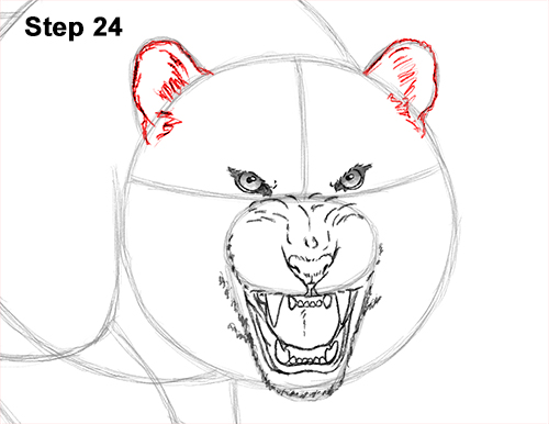Draw a Tiger Angry Roar 24 How to Draw a Mean Tiger Roaring Growling Stalking 24