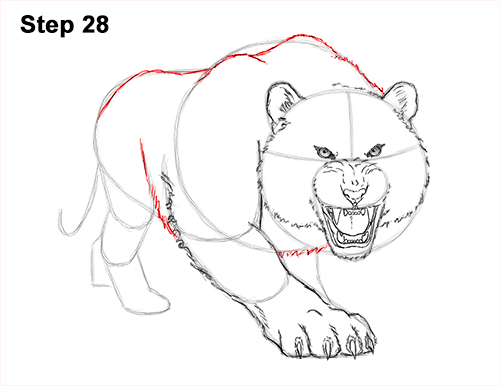 How to Draw a Mean Tiger Roaring Growling Stalking 28
