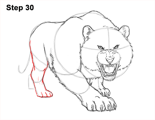 How to Draw a Mean Tiger Roaring Growling Stalking 30