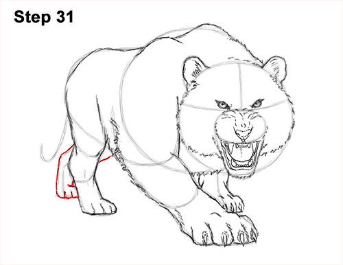 How to Draw a Mean Tiger Roaring Growling Stalking 31