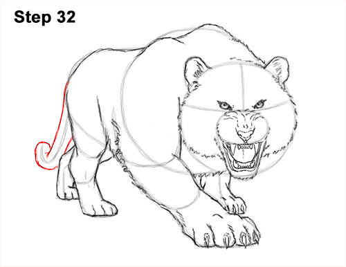 How to Draw a Mean Tiger Roaring Growling Stalking 32