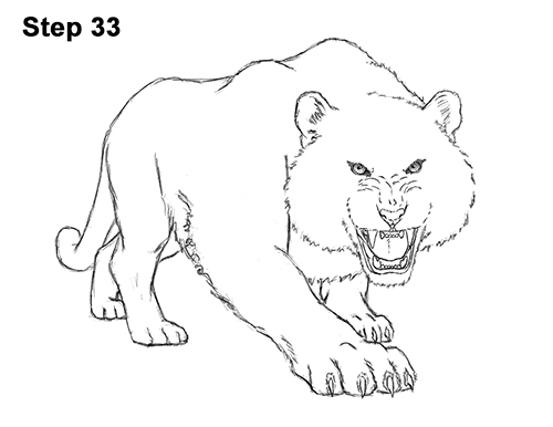 How to Draw a Mean Tiger Roaring Growling Stalking 33
