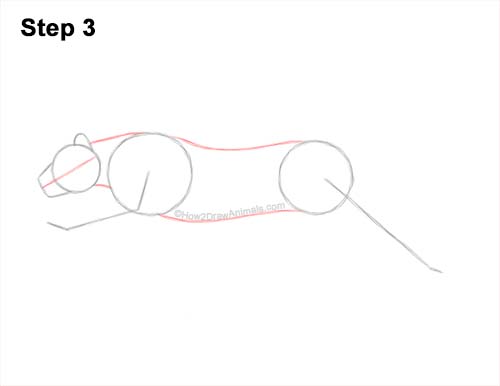 How to Draw a Tiger Running Side View 3
