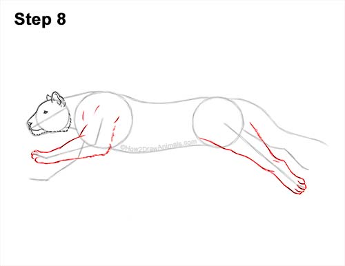 Draw a Running Tiger 8 How to Draw a Tiger Running Side View 8