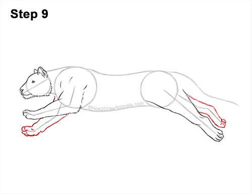 Draw a Running Tiger 9 How to Draw a Tiger Running Side View 9