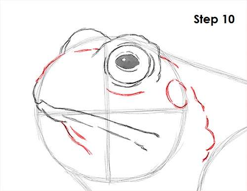 Draw Toad 10