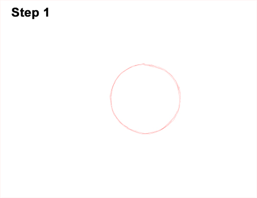 Draw Red-Eyed Tree Frog 1 How to Draw a Red-Eyed Tree Frog 1
