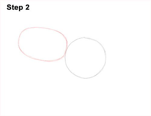 Draw Red-Eyed Tree Frog 2 How to Draw a Red-Eyed Tree Frog 2