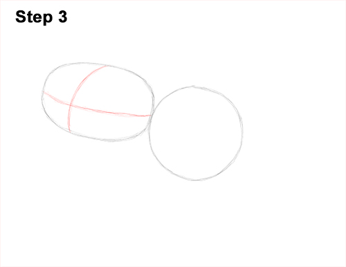 Draw Red-Eyed Tree Frog 3 How to Draw a Red-Eyed Tree Frog 3
