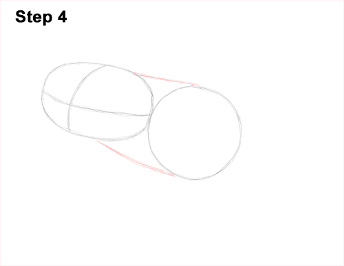 Draw Red-Eyed Tree Frog 4 How to Draw a Red-Eyed Tree Frog 4