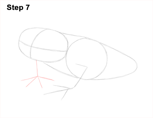 How to Draw a Red-Eyed Tree Frog 7